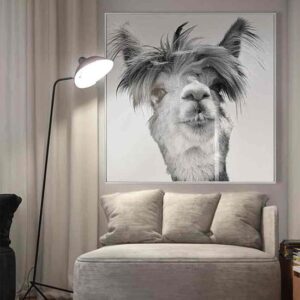 Cursa Llama Picture Glass Wall Art